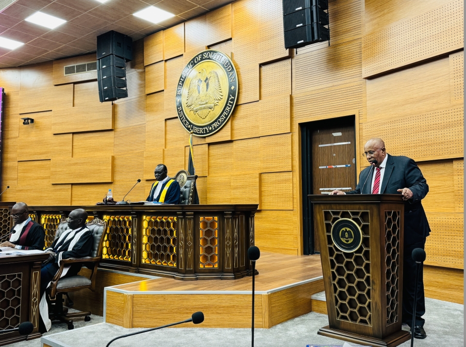 RJMEC Chief of Staff, Amb. Berhanu Kebede addressing sitting of the RTNLA